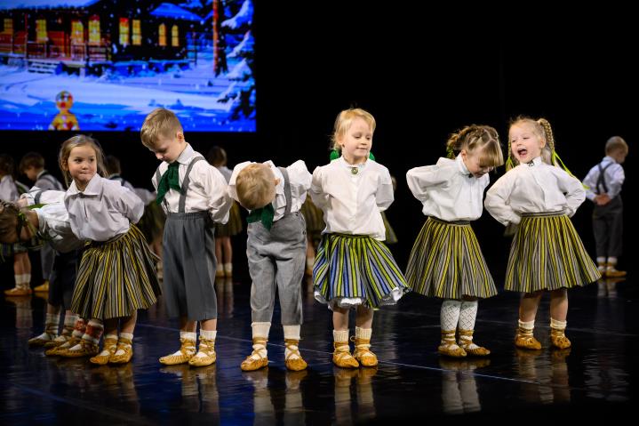 BDK Sienāzītis
